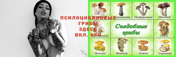 СК Абинск