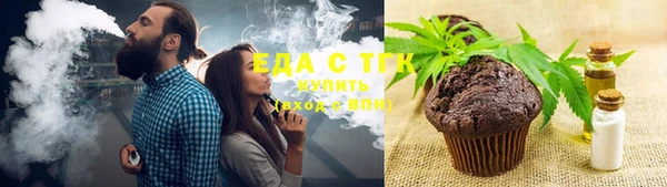 индика Абаза
