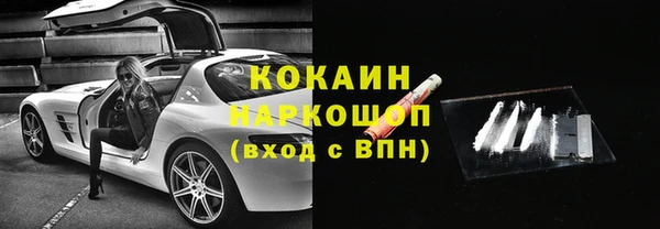 хмурый Пересвет