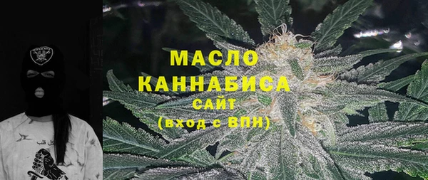индика Абаза