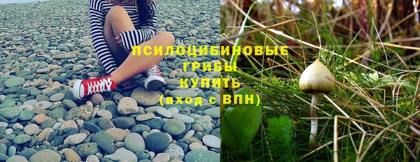 ПСИЛОЦИБИНОВЫЕ ГРИБЫ Арсеньев