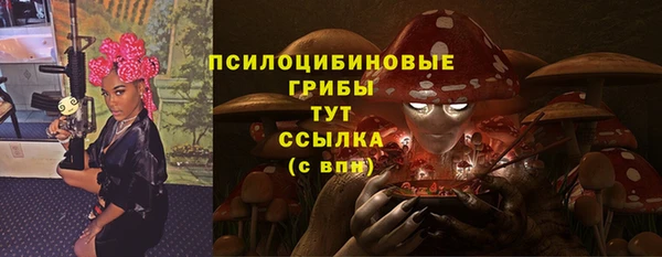 индика Абаза