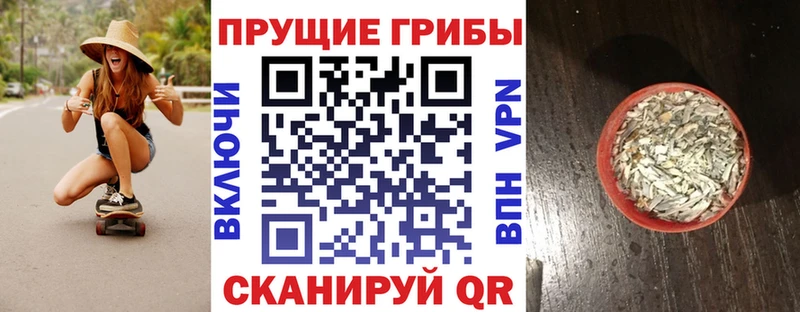 кракен сайт  Ясный  darknet клад  Галлюциногенные грибы Psilocybine cubensis 
